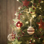 Group logo of Christmus party